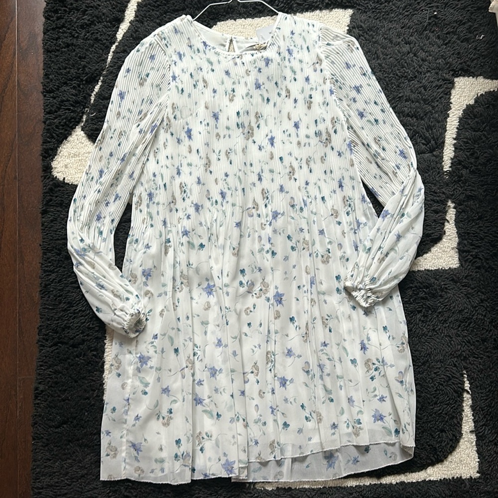 Aritzia blue floral print dress